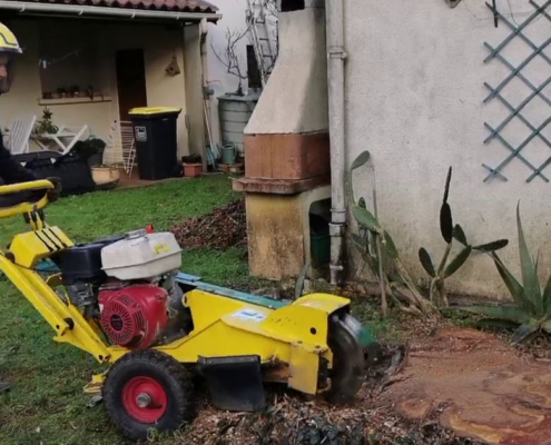 Des cimes aux racines: rognage de souche après abattage d'un arbre
